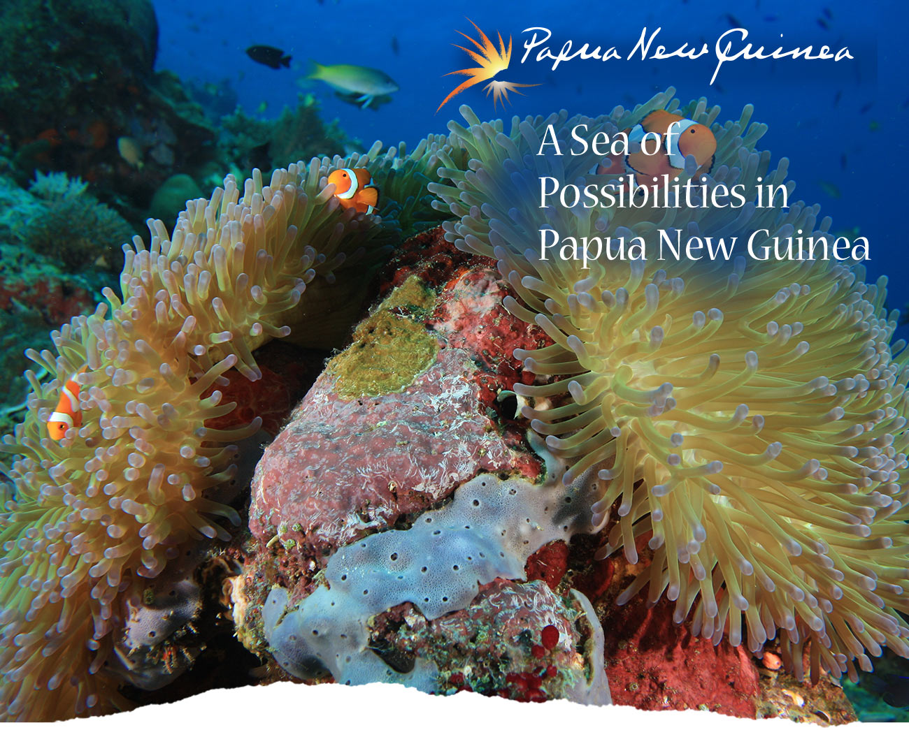 Papua New Guinea - Inclusive Cultures. Immersive rainforests. Incredible journeys.